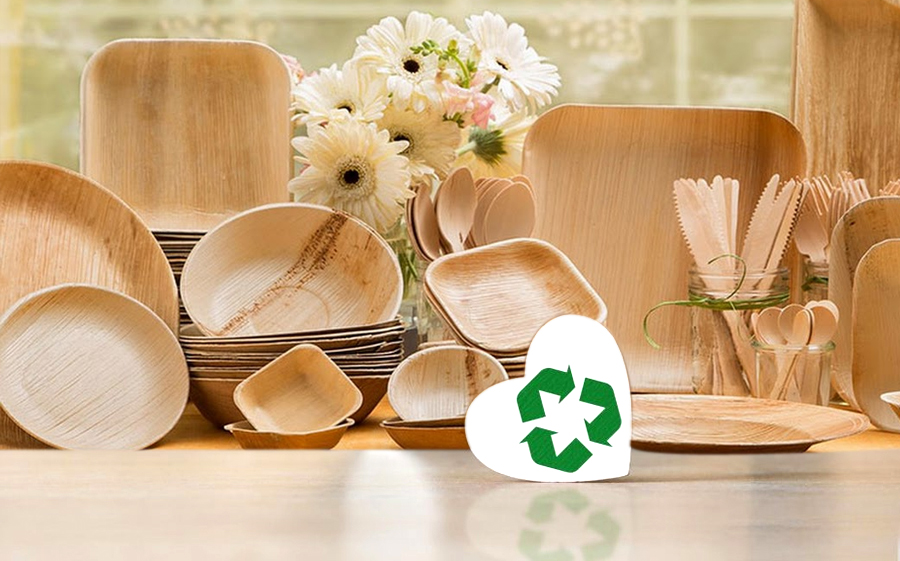 Urban Global Taste Palm Plates and Cutlery are Recyclable